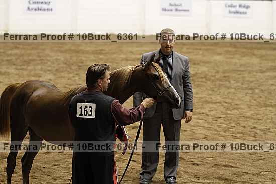 Proof 10buck_6361