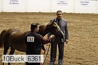 10buck_6361 proof