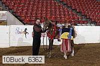 10buck_6362 proof