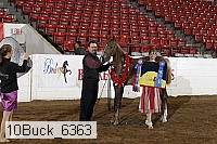 10buck_6363 proof