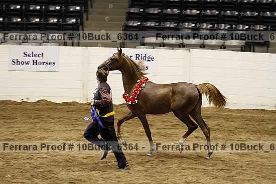 Proof 10buck_6364