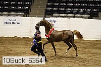 10buck_6364 proof