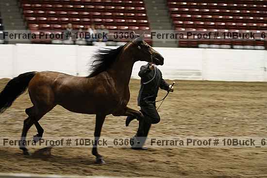 Proof 10buck_6366