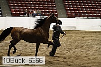 10buck_6366 proof