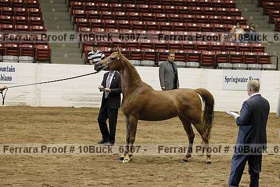 Proof 10buck_6367