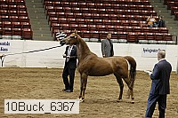 10buck_6367 proof