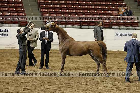 Proof 10buck_6368