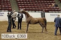 10buck_6368 proof