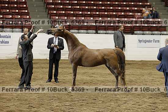Proof 10buck_6369