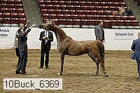 10buck_6369 proof