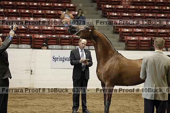 Proof 10buck_6371