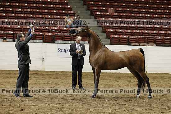 Proof 10buck_6372