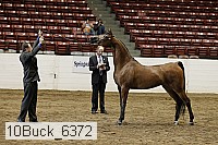 10buck_6372 proof