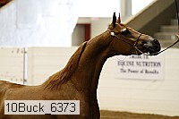 10buck_6373 proof