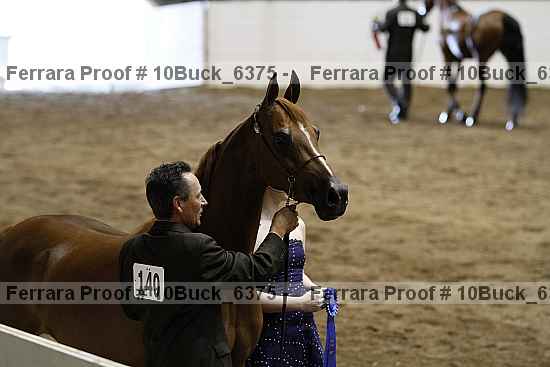 Proof 10buck_6375