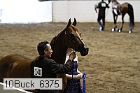 10buck_6375 proof