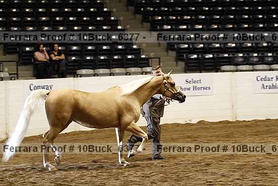 Proof 10buck_6377