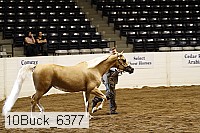 10buck_6377 proof