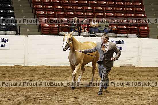 Proof 10buck_6378