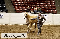 10buck_6378 proof