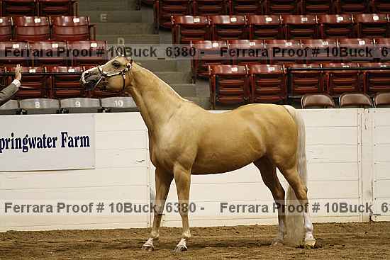 Proof 10buck_6380