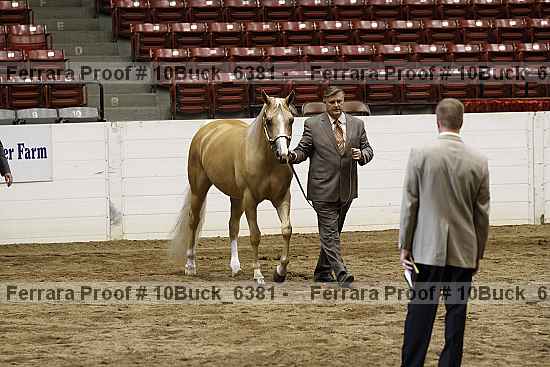 Proof 10buck_6381