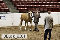 10buck_6381 proof