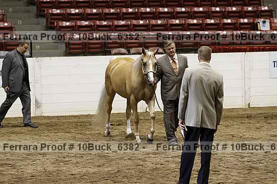 Proof 10buck_6382