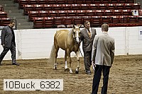 10buck_6382 proof