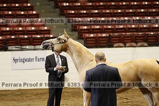 Proof 10buck_6383