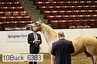 10buck_6383 proof