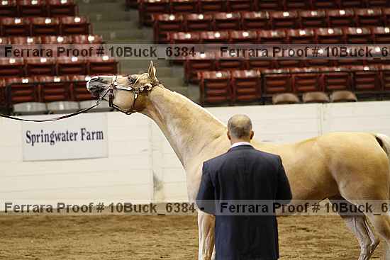 Proof 10buck_6384