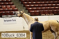 10buck_6384 proof