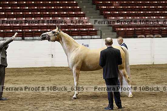Proof 10buck_6385