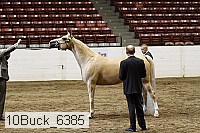 10buck_6385 proof