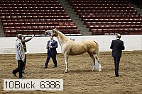 10buck_6386 proof