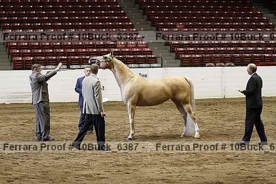 Proof 10buck_6387