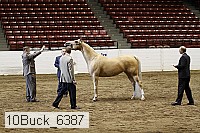 10buck_6387 proof