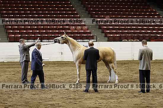 Proof 10buck_6388
