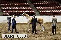 10buck_6388 proof