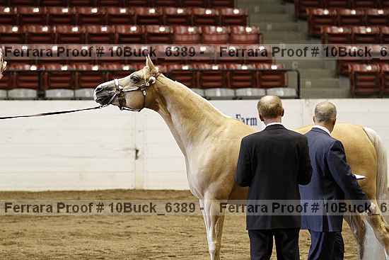 Proof 10buck_6389
