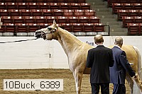 10buck_6389 proof
