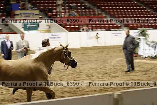 Proof 10buck_6390