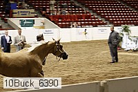 10buck_6390 proof