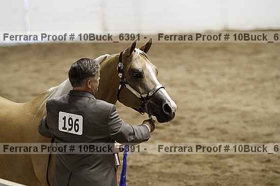 Proof 10buck_6391