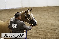 10buck_6391 proof