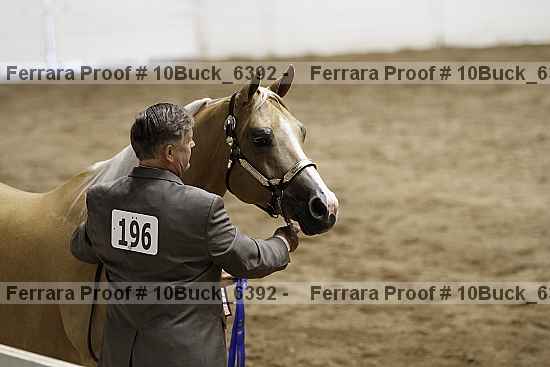 Proof 10buck_6392