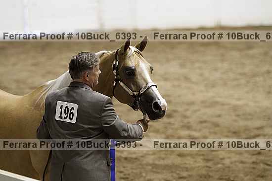 Proof 10buck_6393