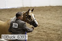 10buck_6393 proof