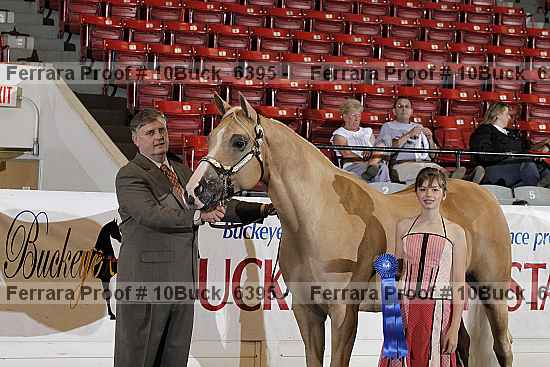 Proof 10buck_6395